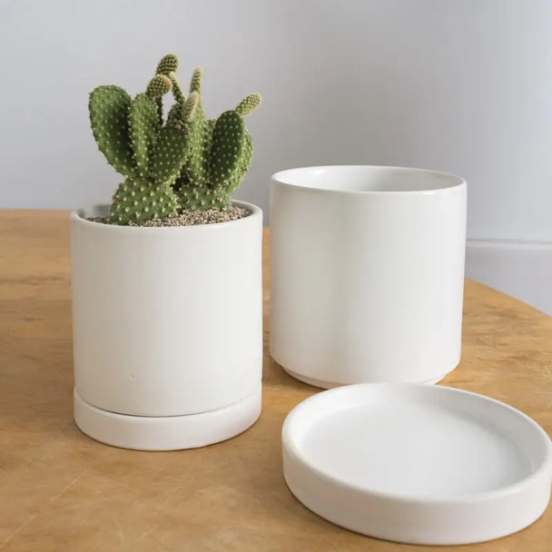 White Romey Pot