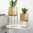 "Elegant Gold Tall Planters Set - 17" & 12" with Stylish Stands for Stunning Home Decor"